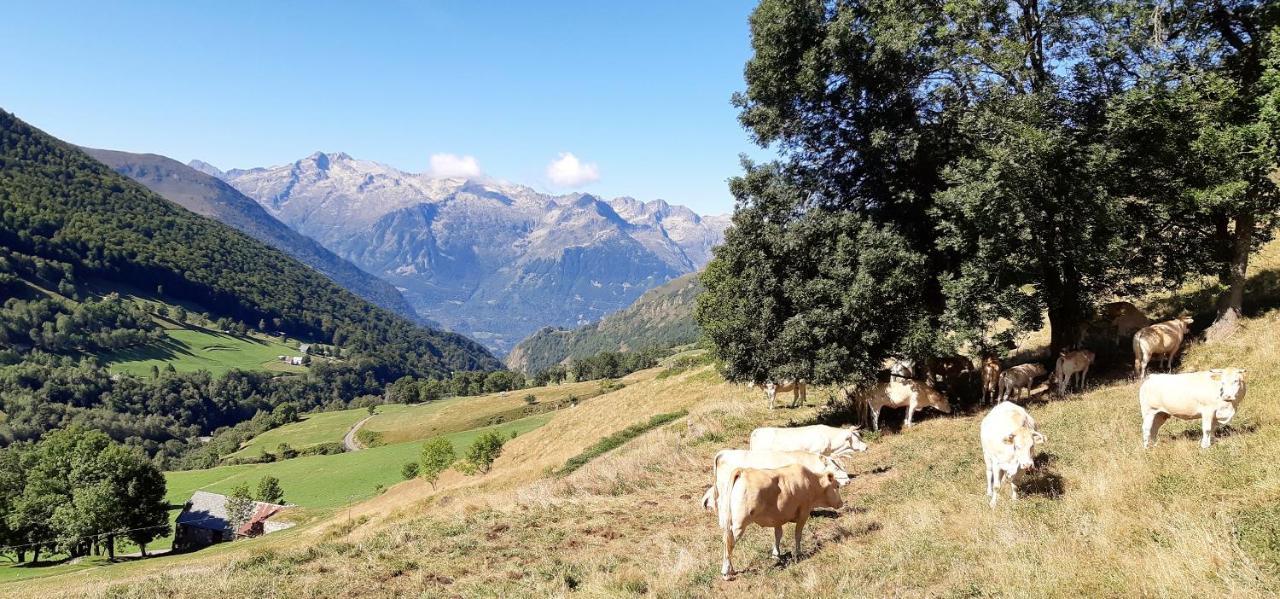 Hotel La Montagne Fleurie Barèges Εξωτερικό φωτογραφία